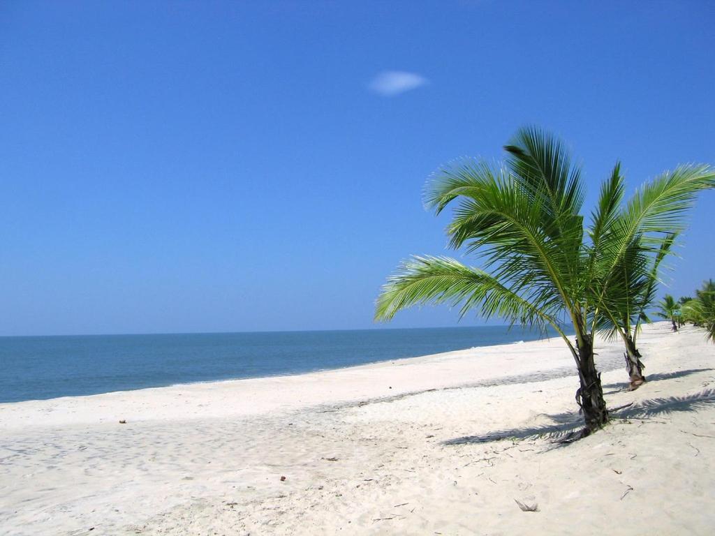 Marari Felix Beach Homestay 마라리쿨람 외부 사진